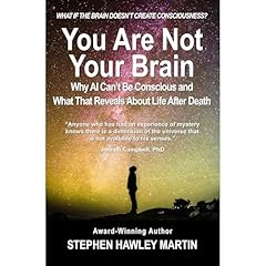 You Are Not Your Brain Audiobook By Stephen Hawley Martin cover art
