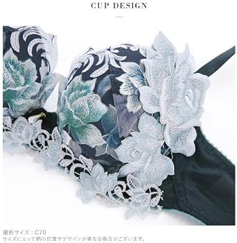 Amazon | ワコール サルート 26グループ 26G P-UP ブラジャー DEF