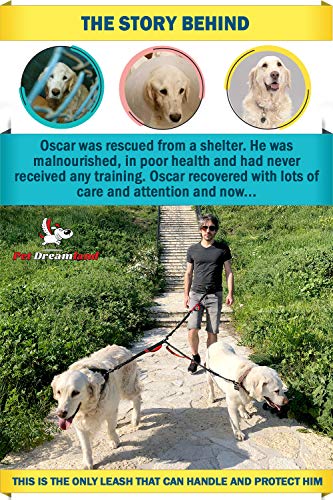 Exquisite Double Dog Leash For Large Dogs | Hands Free Dog Leash 2 Dogs | Waist Dog Leash For Large Dogs | Two Dog Leash For Large Dogs | Leash For Big Dogs | Hands Free Running Dog Leash #TOP6