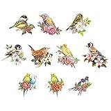 Ideen mit Herz 3-D Motive, Wellensittiche & Vögel, 7-9cm, 10 Stück | Bilder zum Basteln & Dekorieren | Grußkarten, Geburtstagskarten selber machen | Bildmotive für Scrapbooking & DIY-Deko