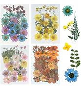 Woohome 126 Pezzi Di Fiori Secchi Pressati Naturali - Kit Fiori Veri Per Resina, Scrapbooking, Bigiotteria Fai Da Te, Segnalibri E Decorazioni