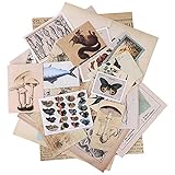【Amplia Aplicación】: estas pegatinas de paquete de material retro son fáciles de aplicar, puede usarlas para decorar diferentes artículos, adecuadas para álbumes de recortes, cuadernos de bocetos, cartas, tarjetas, y también adecuadas para decorar cuadernos de bricolaje o marcos de fotos, hermosa decoración agregará a tu vida más diversión.