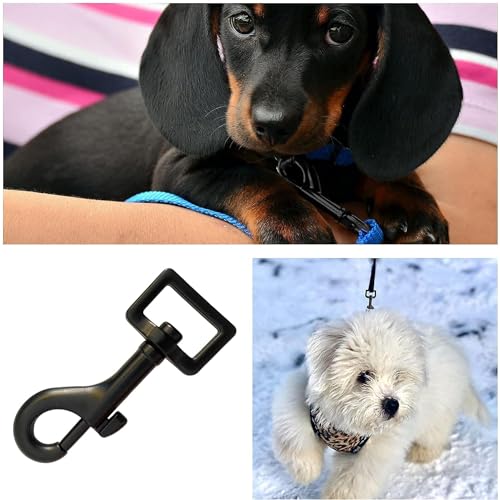 5 Stück Drehgelenk Karabinerhaken Robusten Karabinerhaken Hundeleine für Hundehalsband Schnalle Drehgelenk Karabinerhaken Karabiner Hundeleine,72x20.5mm (Schwarz)