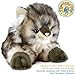 TigerHart Ricky The Maine Coon - 16 Inch Stuffed Animal Plush