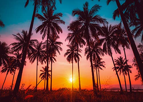 Fondo Fotográfico Tela BELECO 9x6ft Playa Atardecer Tropical miniatura 5