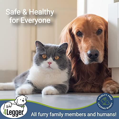 4Legger Organic Dog Shampoo Usda Certified Organic Aloe Vera, Lemongrass, Coconut Oil, All Natural Dog Shampoo, Dog Shampoo Sensitive Skin, Dog Shampoo For Itchy Skin 16 Oz #TOP7