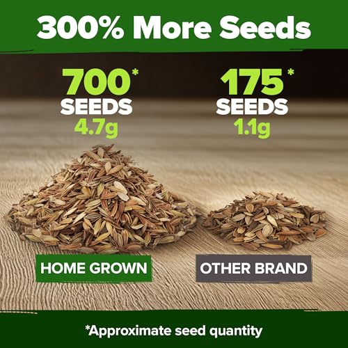 Image of HOME GROWN Dwarf Zinnia Seeds Mix - 700 Pumila Zinnias Seeds for 2026 | Zinna Flower Seed for Planting Outdoors | Colorful Cut Annual Flowers for Summer Gardens & Containers (Zinnia elegans)