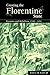 Creating the Florentine State: Peasants and Rebellion, 13481434 (Volume 0)