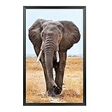 Mxtallup 12x22 Picture Frame Solid Wood Poster Frame for Wall 12x22 Photo Frames Family Black (T22B1222)