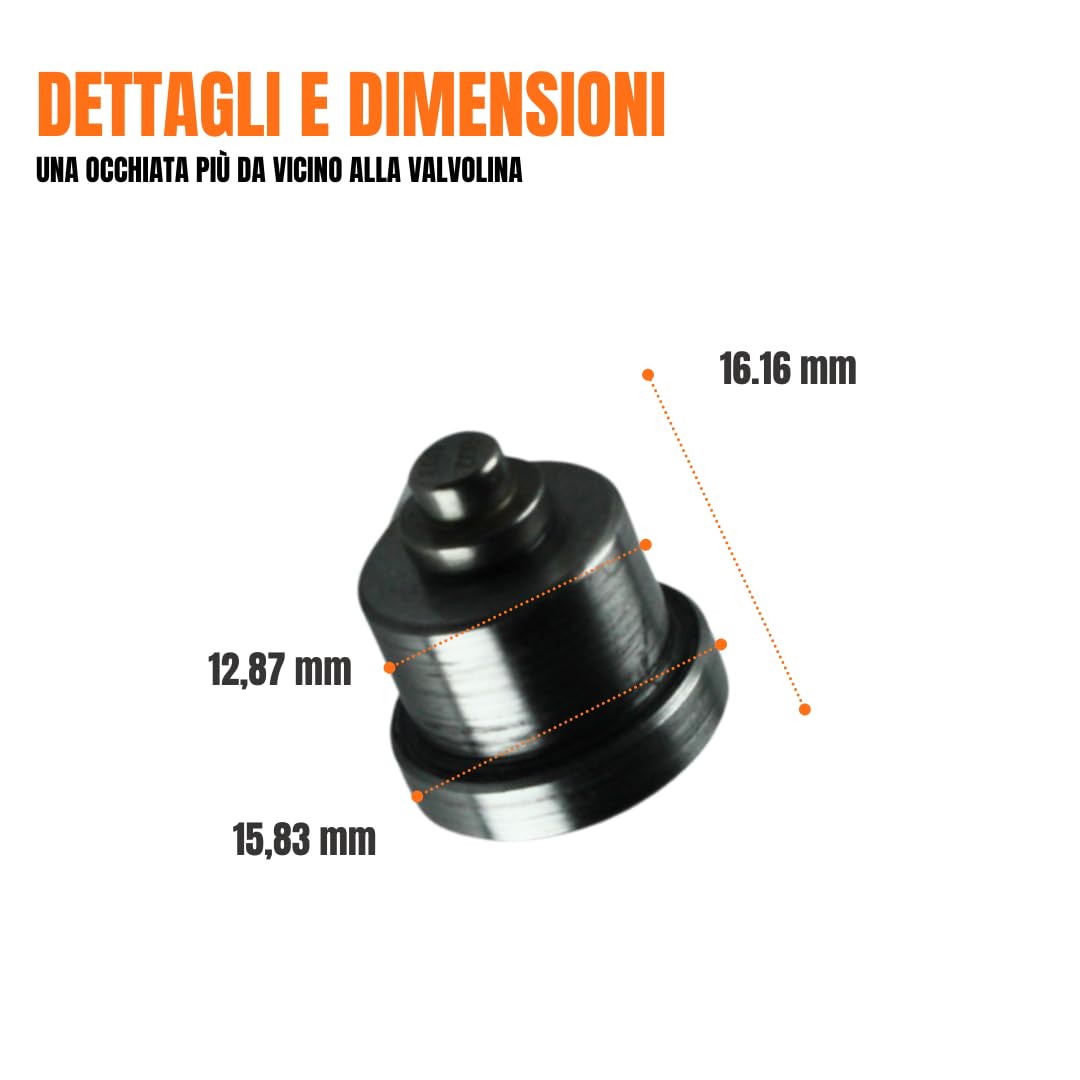 Kit Pompante + Polverizzatore + Valvolina per Motozappe e Motocoltivatori Lombardini Diesel LDA 450 LDA 510 3LD 510 4LD 640 LDA 640 LDA 96 LDA 97 LDA 100 4LD 820 LDA 820