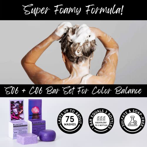 Solid Shampoo Bar & Conditioner Bar Set S06+C06 For Blondes Silver & Bleached Hair - Sulfate Free, Natural, Eco-Friendly, Sustainable, Zero Waste, Gift Set,3.52Oz (Pack Of 1, Up To 75 Uses) #TOP4