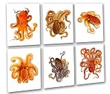 Gnosis Picture Archive Beach Wall Art Octopus Decor Art Prints set of 6 Unframed Wall Art