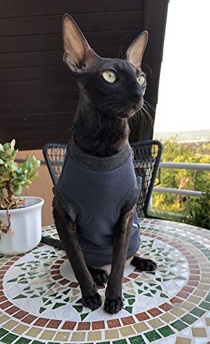 Chandail pour chat bleu foncé Boss XS pour les siestes d'hiver au coin du feu