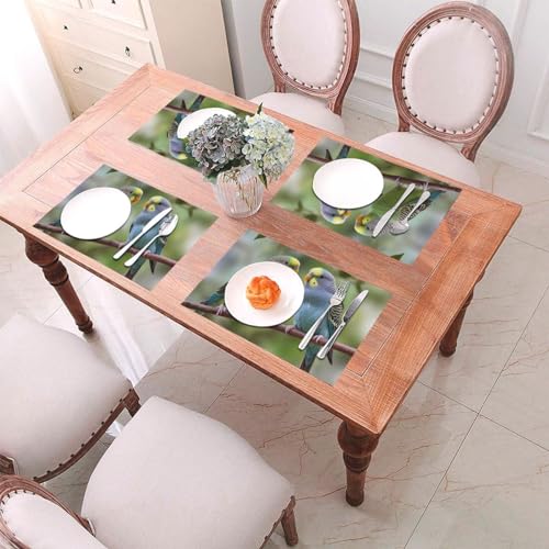 Set de table pour intérieur et extérieur idéal pour repas de terrasse - 6