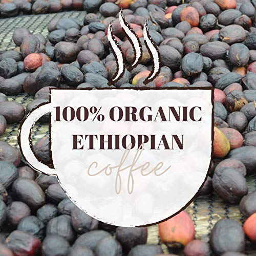 Revocup Ethiopian Harrar Café en Grano 12oz Origen Único miniatura 6