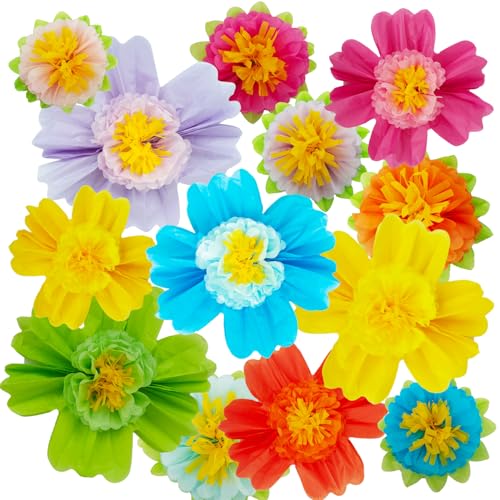 20\" Giant Rainbow Tissue Paper Flowers Set, Large Mexican Fiesta Party Flowers for Wedding, Birthday Party Backdrop, Festival Decorations (12 Pieces 2 Sizes)