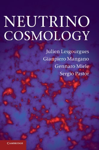 Preisvergleich Produktbild Neutrino Cosmology