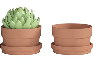 Fcašti 7 Inch Terracotta Shallow Succulent Pots with Saucer - Pack of 2