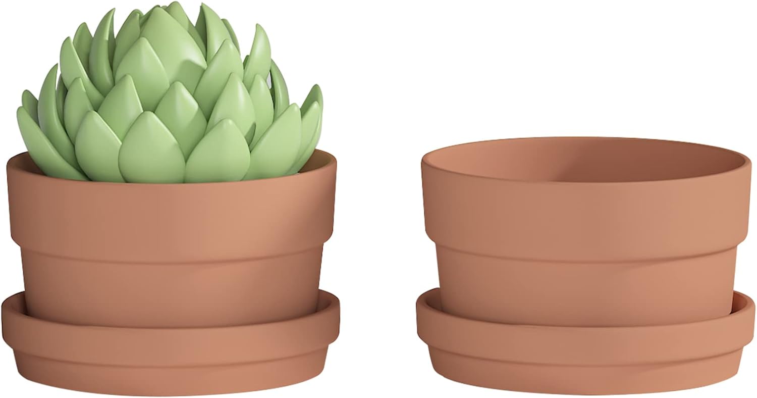 Fcacti 7 Inch Terracotta Shallow Succulent Pot with Saucer/Tray - 2 Pack Large Terra Cotta Clay Pots with Drainage Hole, Round Shallow Terra-Cotta Bonsai Pot for Indoor/Outdoor Plants