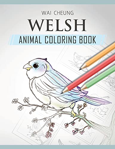 Welsh Animal Coloring Book