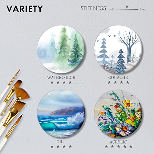 Image of 21 Piece Paint Brush Set, ARTIFY 18 Acrylic Paint Brushes, Palette Knife, and 2 Sponges, Professional Artist Paint Brushes for Acrylics, Watercolors, Gouache, Canvas, and Face Painting, Ivory White