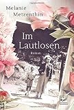 Im Lautlosen (Leise Helden, 1) - Melanie Metzenthin 