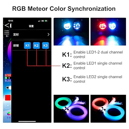Image of Starlight Headliner Light : Dual Color Effect with 1100pcs 13.1ft for Suvs