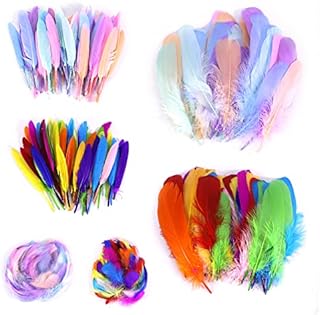 Feather for Crafts, Viaky 400 Pcs Natural Goose Feathers for Crafting DIY, Colorful Craft Feather in Bright Colors for Decoration/Dreamcatcher/Party/Wedding/Costumes(3 Sizes)