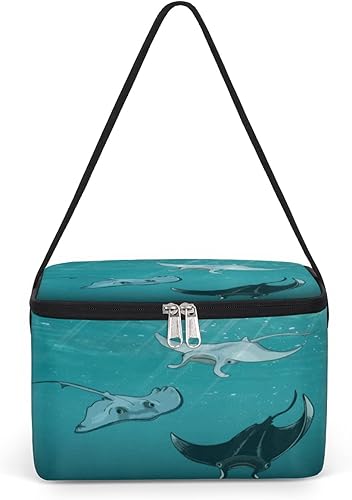 QsirBC Bolsa de almuerzo aislada con diseño de rayas de animales marinos, bolsa de almuerzo reutilizable para adultos y hombres, caja de almuerzo