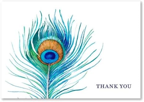 Amazon Com Peacock Thank You Cards 100 Recycled Paper Pack Of 10 Wedding Ceremony Accessories Office Products