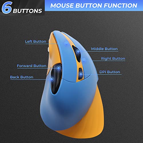 Dareu Vertical Wireless Ergonomic 89G Lightweight Optical Mouse, 2.4G Rgb Mouse Reduce Wrist/Hand Strain, 800/1200/1600 Dpi, 6 Buttons For Laptop, Desktop, Pc, Mac (Blue&Yellow) #TOP3