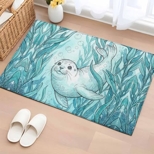 Washable 2x3 Entryway Rug, Teal Coastal Small Rugs for Entry