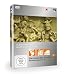 Produktbild Museumsinsel Berlin - In den Katakomben des Pergamonmuseums