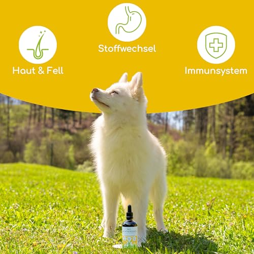 Bio Nachtkerzenöl für Hunde und Katzen, 100ml kaltgepresstes Fellöl 100% Bio aus Deutschland - reich an Omega 3 & 6, Barf Öl, DE-ÖKO-060