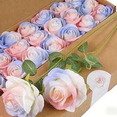 Pink Blue Mix Rose