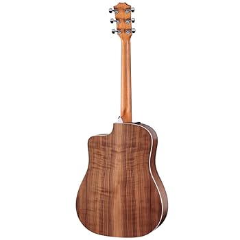 【Taylor】210ce-Gloss NAT（エレアコ）＋専用セミハードケース Amazon.com: Taylor 210ce Dreadnought Acoustic-electric