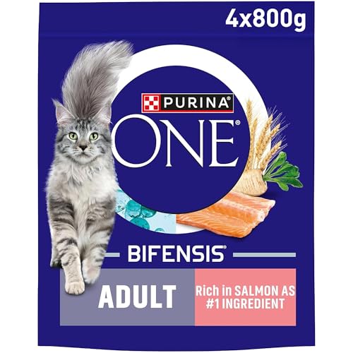 PURINA ONE Salmon Dry Cat Food 800g (Pack of 4)