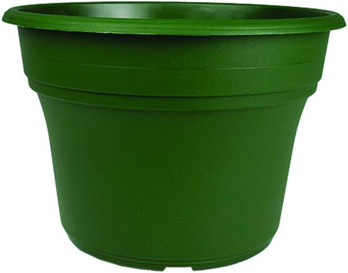 The HC Companies Panterra Round Planter Decorative 12-Inch Plastic Pot Planter for Outdoor Plants, Pairs w/ 12" Green Panterra Saucer SPN12000B71 | Green (PA.12000B71)
