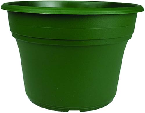 The HC Companies Panterra - Maceta redonda decorativa de plástico de 12 pulgadas para plantas al aire libre, pares con platillo Panterra verde de 12