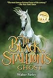 The Black Stallion's Ghost
