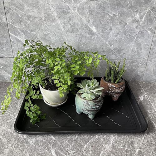Plateaux de protection pour chaussures propres et repas d'animaux