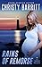 Rains of Remorse (Lantern Beach Romantic Suspense)