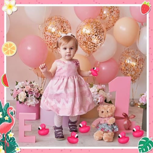 Honoson Flamingo Rubber Ducks Bulk Party Favors,24 Pcs,Classic by Honoson - Used condition - Image 7