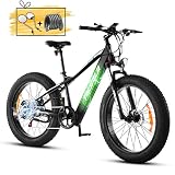 eAhora 750W Electric Mountain Bike Up to 28 MPH 26 Inch 4.0 Fat Tire Electric Bike with 48V 14.5AH B