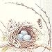 Boston International 20 Count 3-Ply Paper Lunch Napkins, Birds Nest with Eggs