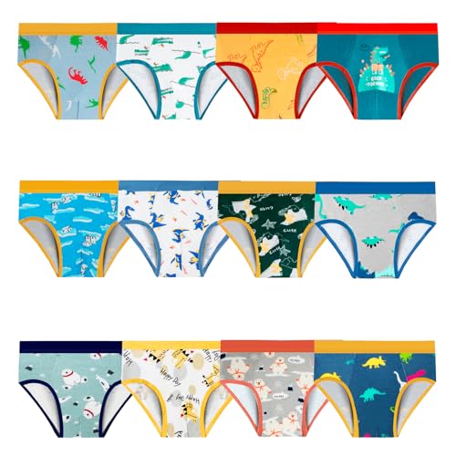 Cogindss Xmrlvn Toddler Underwear Boys Briefs for Boys Cute Cartoon 3-5 Years Multicolor 12 Pack