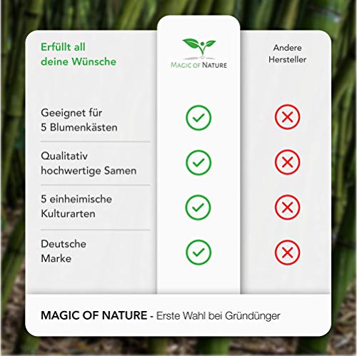 Magic of Nature Balkonkasten Mischung - 10g Samen - Bienenfreundliche Pflanzen - Kinderleichte Anwendung - Bienen… – Bild 5