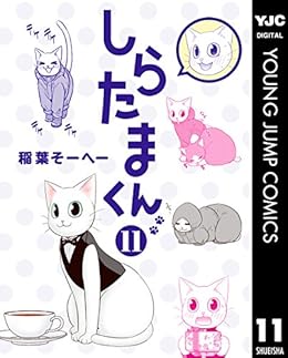 しらたまくん 11 ヤングジャンプコミックスdigital 稲葉そーへー 青年マンガ Kindleストア Amazon しらたまくん 11 ヤングジャンプコミックスdigital 稲葉そーへー 青年マンガ Kindleストア Amazon
