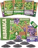ZenGreens® - Set de semillas de albahaca eco - 6 variedades para cultivar fácilmente en el jardín, balcón o parterre elevado - Sementes verduras
