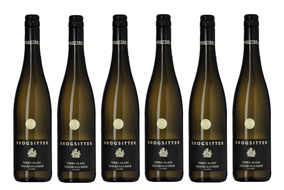 6x 0,75l - 2024er - Brogsitter - Terra Blanc - Grauburgunder - Qualitätswein Rheinhessen - Deutschland - Weißwein trocken